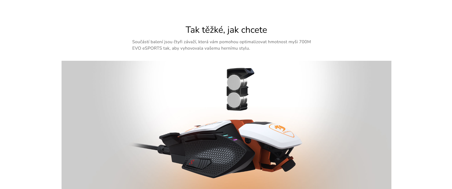 Snímek obrazovky 2026-03-24 181009